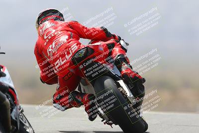 media/Apr-10-2022-SoCal Trackdays (Sun) [[f104b12566]]/Turn 9 Backside (1120am)/